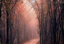 惺惺相惜!2亿巨星夸赞张玉宁:出色射手+精彩终结 发型也很棒的.