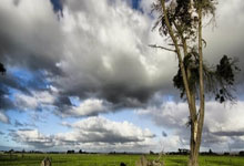 皇冠体育:担忧摄入禁药 美网前冠军艾玛被蚊虫叮咬不喷药.