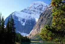 皇冠体育:十五运会及残特奥会澳门赛区将于4月至6月举行项目运行测试央视新闻客户端.